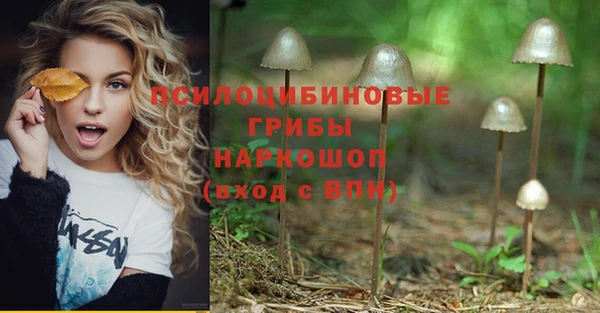 бошки Абдулино